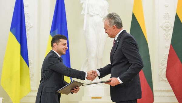 Встреча президента Литвы Гитанаса Науседы с президентом Украины Владимиром Зеленским, 27 ноября 2019 года  - Sputnik Lietuva