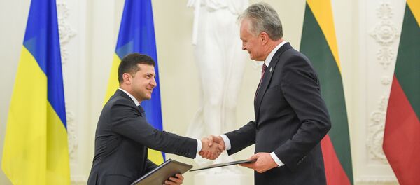 Встреча президента Литвы Гитанаса Науседы с президентом Украины Владимиром Зеленским, 27 ноября 2019 года  - Sputnik Lietuva