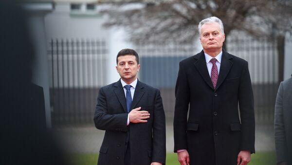 Встреча президента Литвы Гитанаса Науседы с президентом Украины Владимиром Зеленским, 27 ноября 2019 года - Sputnik Lietuva