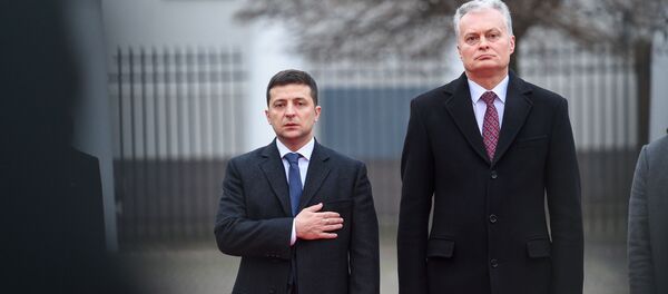 Встреча президента Литвы Гитанаса Науседы с президентом Украины Владимиром Зеленским, 27 ноября 2019 года Встреча президента Литвы Гитанаса Науседы с президентом Украины Владимиром Зеленским, 27 ноября 2019 года - Sputnik Lietuva