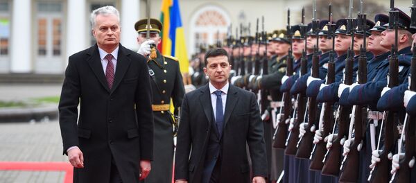 Встреча президента Литвы Гитанаса Науседы с президентом Украины Владимиром Зеленским, 27 ноября 2019 года - Sputnik Литва