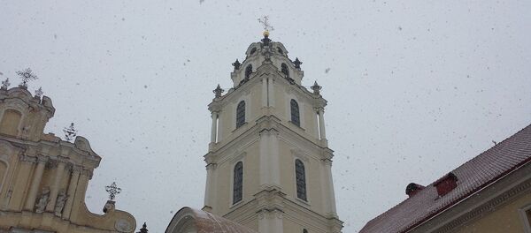 Вильнюсский университет, архивное фото - Sputnik Литва