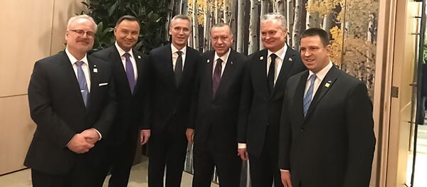 Президент Литвы Гитанас Науседа встретился с президентом Турции Реджепом Эрдоганом, 4 декабря 2019 года - Sputnik Lietuva