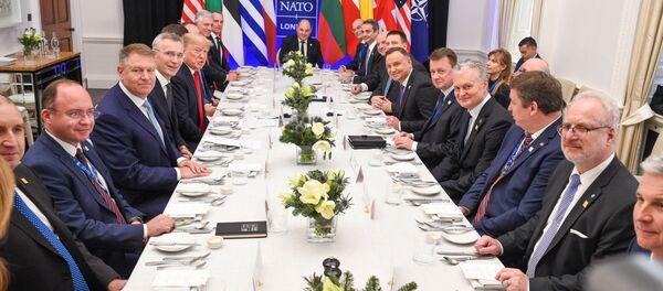 Встреча президента Литвы Гитанаса Науседы с президентом США Дональдом Трампом во время рабочего обеда в рамках саммита НАТО в Лондоне - Sputnik Литва