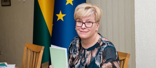 Член Сейма Литвы Ингрида Шимоните, архивное фото Член Сейма Литвы Ингрида Шимоните, архивное фото - Sputnik Литва