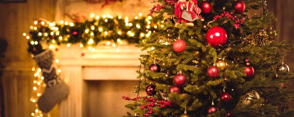 Kalėdų eglė Kalėdų eglė - Sputnik Lietuva