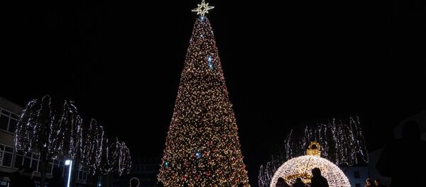 Kalėdų eglutė Alytuje Kalėdų eglutė Alytuje - Sputnik Lietuva