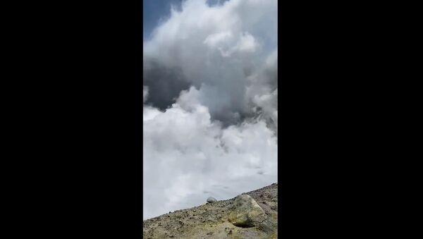 В Сети появилось видео извержения вулкана в Новой Зеландии - Sputnik Литва