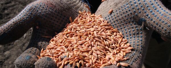 Начало посевных работ в Донецкой области, архивное фото - Sputnik Литва