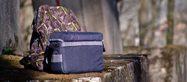 Сумки, архивное фото - Sputnik Литва