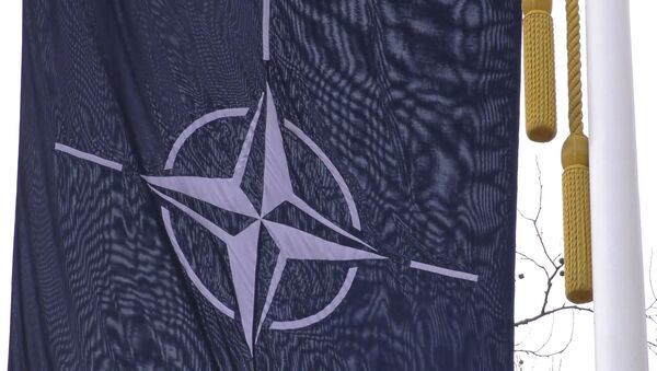 NATO žlugimas: ar aljansas sugebės išlaikyti vienybę? - Sputnik Lietuva