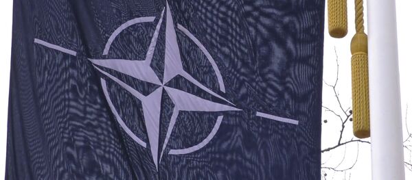 NATO žlugimas: ar aljansas sugebės išlaikyti vienybę? - Sputnik Lietuva