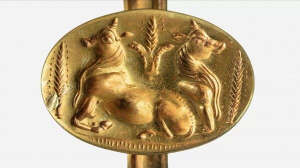 Archeologai rado bronzos amžiaus kapus, išklotus auksu Archeologai rado bronzos amžiaus kapus, išklotus auksu - Sputnik Lietuva