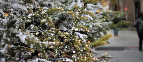 Новогодние елки в городе, архивное фото Новогодние елки в городе, архивное фото - Sputnik Литва