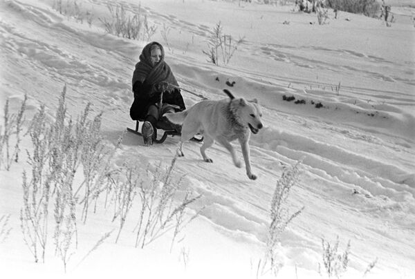 Собака везет девочку на санках, 1971 год - Sputnik Lietuva