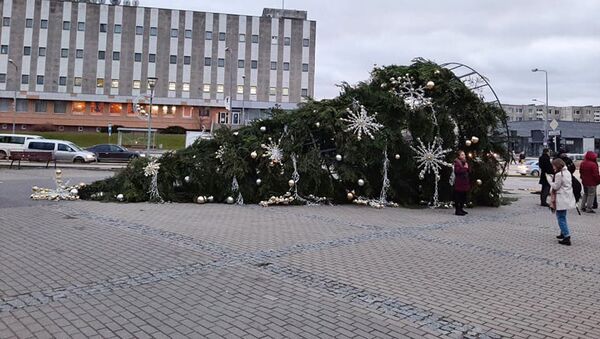 В Мажейкяй упала рождественская елка  - Sputnik Литва