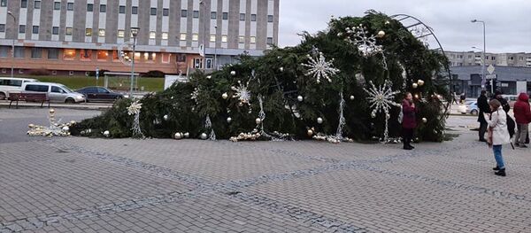 В Мажейкяй упала рождественская елка В Мажейкяй упала рождественская елка - Sputnik Литва