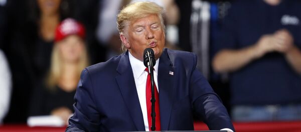 Президент Дональд Трамп, архивное фото Президент Дональд Трамп, архивное фото - Sputnik Lietuva