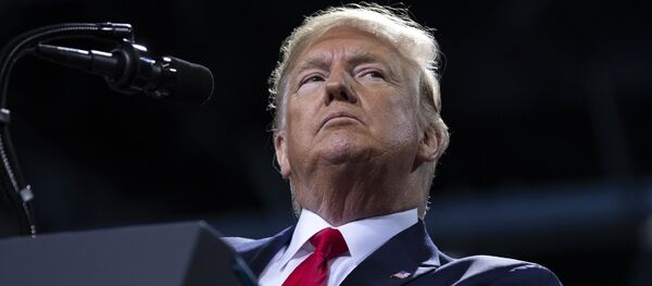 Президент Дональд Трамп, архивное фото - Sputnik Литва