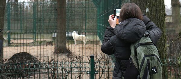 Каунасский Зоологический сад, архивное фото Каунасский Зоологический сад, архивное фото - Sputnik Литва