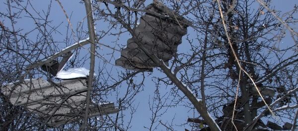 Šiferis nuo namo stogo Šiferis nuo namo stogo - Sputnik Lietuva