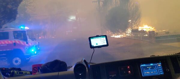 Ugniagesiai Australijoje nufilmavo vaizdo įrašą iš miško gaisro epicentro Ugniagesiai Australijoje nufilmavo vaizdo įrašą iš miško gaisro epicentro - Sputnik Lietuva