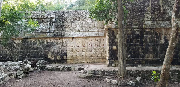 Meksikoje archeologai atrado futbolo aikštės dydžio majų rūmus Meksikoje archeologai atrado futbolo aikštės dydžio majų rūmus