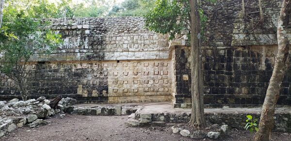 Meksikoje archeologai atrado futbolo aikštės dydžio majų rūmus Meksikoje archeologai atrado futbolo aikštės dydžio majų rūmus - Sputnik Lietuva