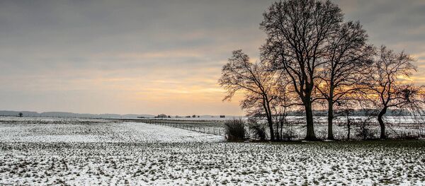 Зимнее поле, архивное фото Зимнее поле, архивное фото - Sputnik Литва