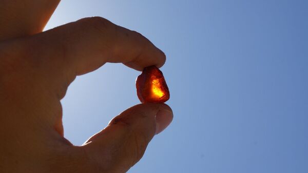 Янтарь Янтарь - Sputnik Lietuva