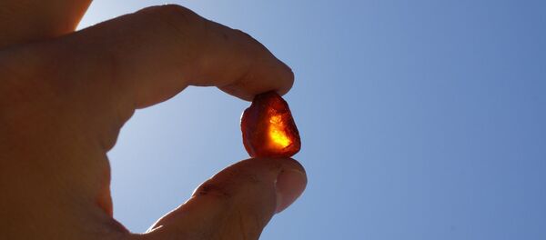 Янтарь - Sputnik Литва