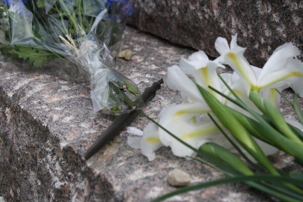 Перьевая ручка на гранитной плите Перьевая ручка на гранитной плите - Sputnik Литва