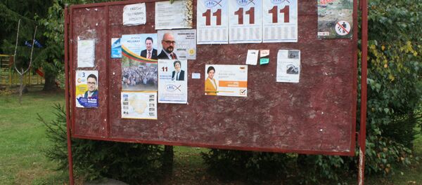 Официальный щит политической рекламы Официальный щит политической рекламы - Sputnik Литва