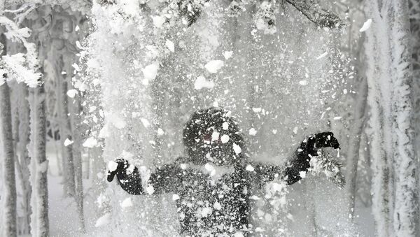 Žiema, archyvinė nuotrauka - Sputnik Lietuva
