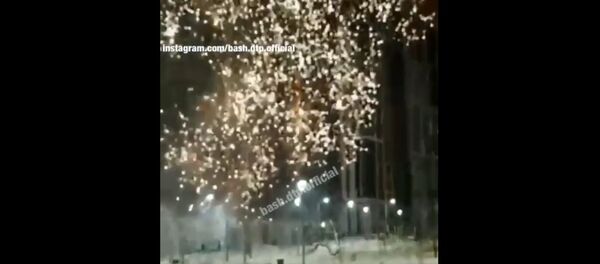 В Уфе обстреляли жилой дом фейерверками В Уфе обстреляли жилой дом фейерверками - Sputnik Lietuva