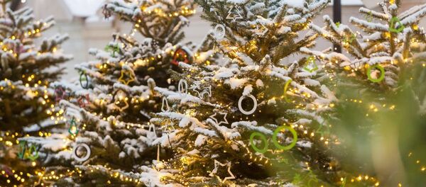 Рождественская ель, архивное фото - Sputnik Литва