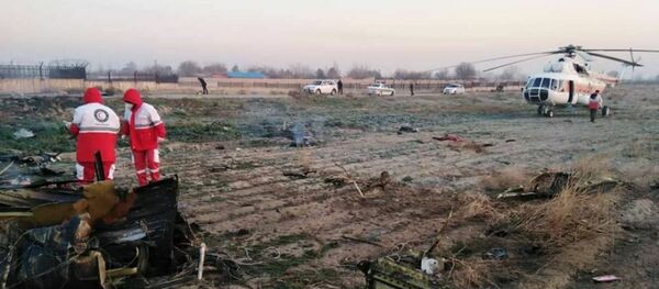 Крушение украинского самолета Boeing-737 в Тегеране, 8 января 2020 года Крушение украинского самолета Boeing-737 в Тегеране, 8 января 2020 года - Sputnik Lietuva