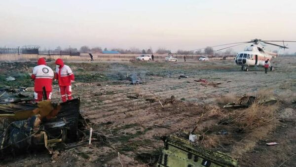 Крушение украинского самолета Boeing-737 в Тегеране, 8 января 2020 года - Sputnik Lietuva