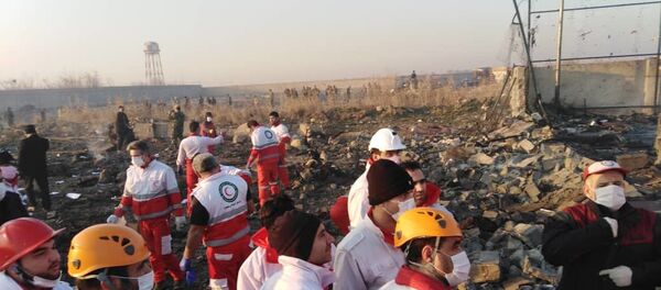 Крушение украинского самолета Boeing-737 в Тегеране, 8 января 2020 года Крушение украинского самолета Boeing-737 в Тегеране, 8 января 2020 года - Sputnik Lietuva