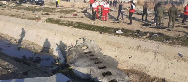 Крушение украинского самолета Boeing-737 в Тегеране, 8 января 2020 года - Sputnik Литва