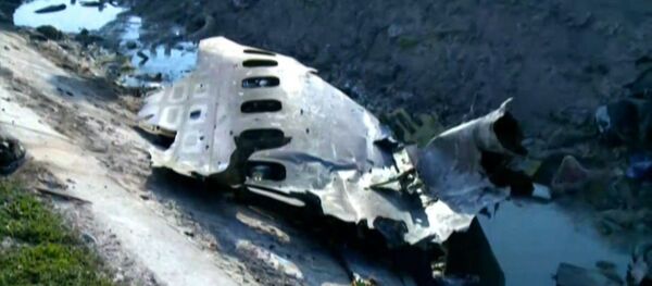 Крушение украинского самолета в аэропорту Тегерана попало на видео - Sputnik Литва