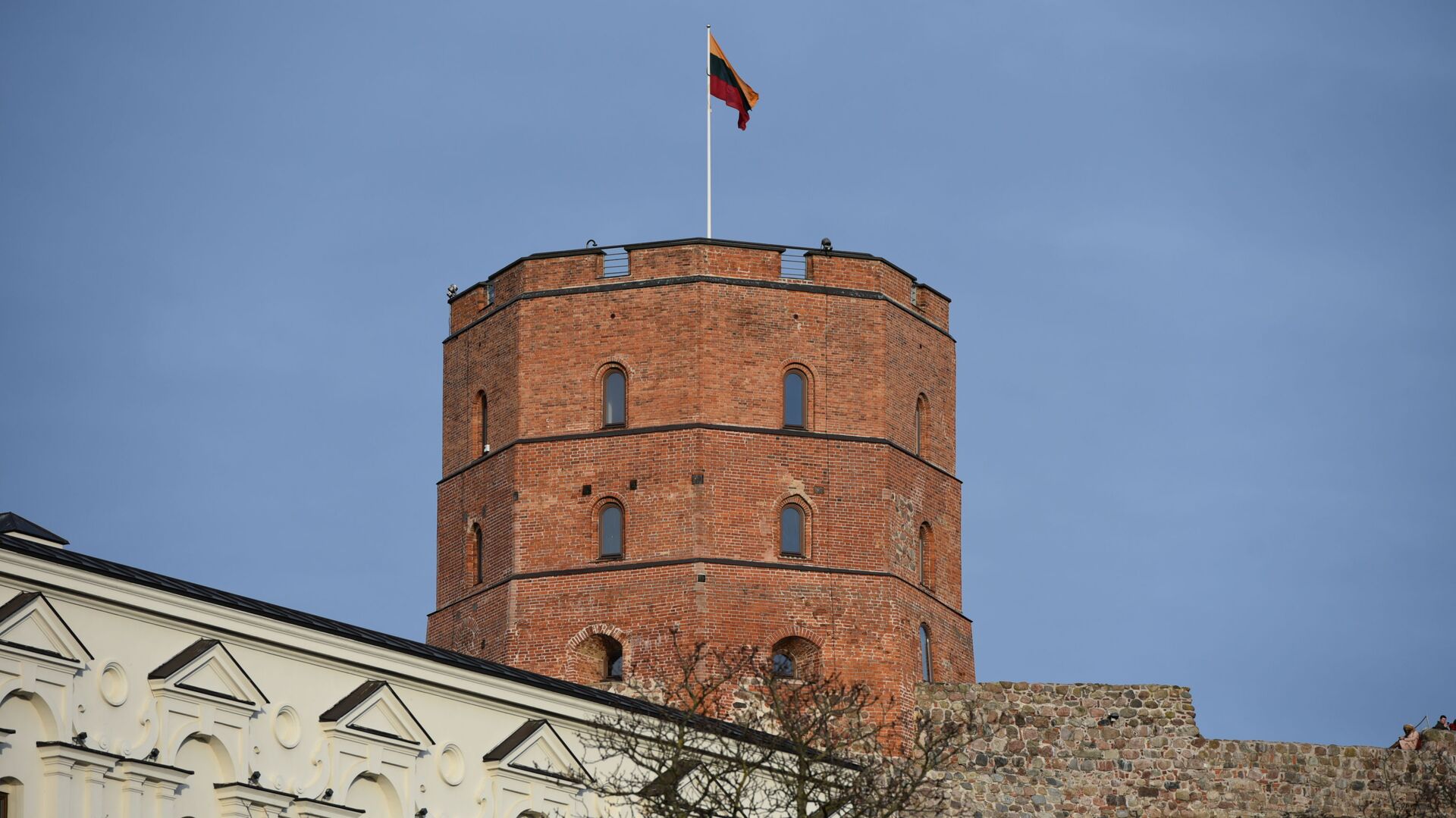 Литовский флаг на башне Гедиминаса, архивное фото - Sputnik Литва, 1920, 19.04.2021