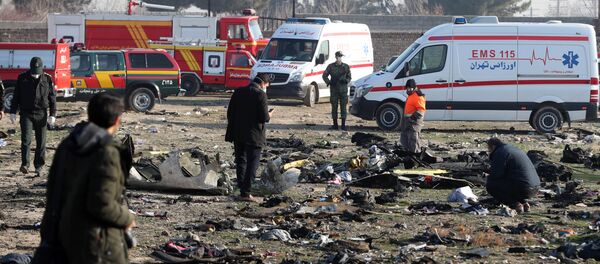 Место крушения украинского Боинга в Тегеране, 8 января 2020 года Место крушения украинского Боинга в Тегеране, 8 января 2020 года - Sputnik Литва
