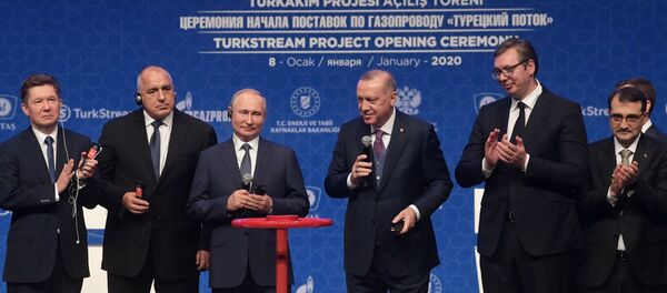 Рабочий визит президента РФ В. Путина в Турецкую Республику Рабочий визит президента РФ В. Путина в Турецкую Республику - Sputnik Lietuva