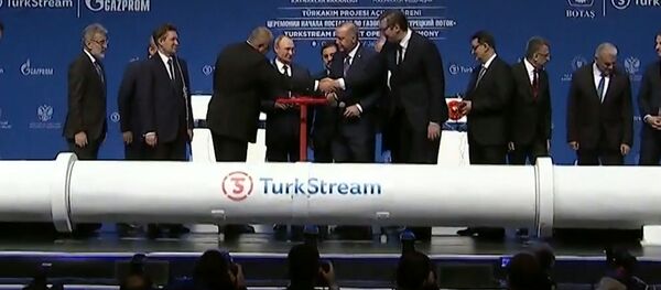 Turkish Stream paleistas: kokios bus dujų kainos? Turkish Stream paleistas: kokios bus dujų kainos? - Sputnik Lietuva