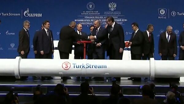 Turkish Stream paleistas: kokios bus dujų kainos? - Sputnik Lietuva