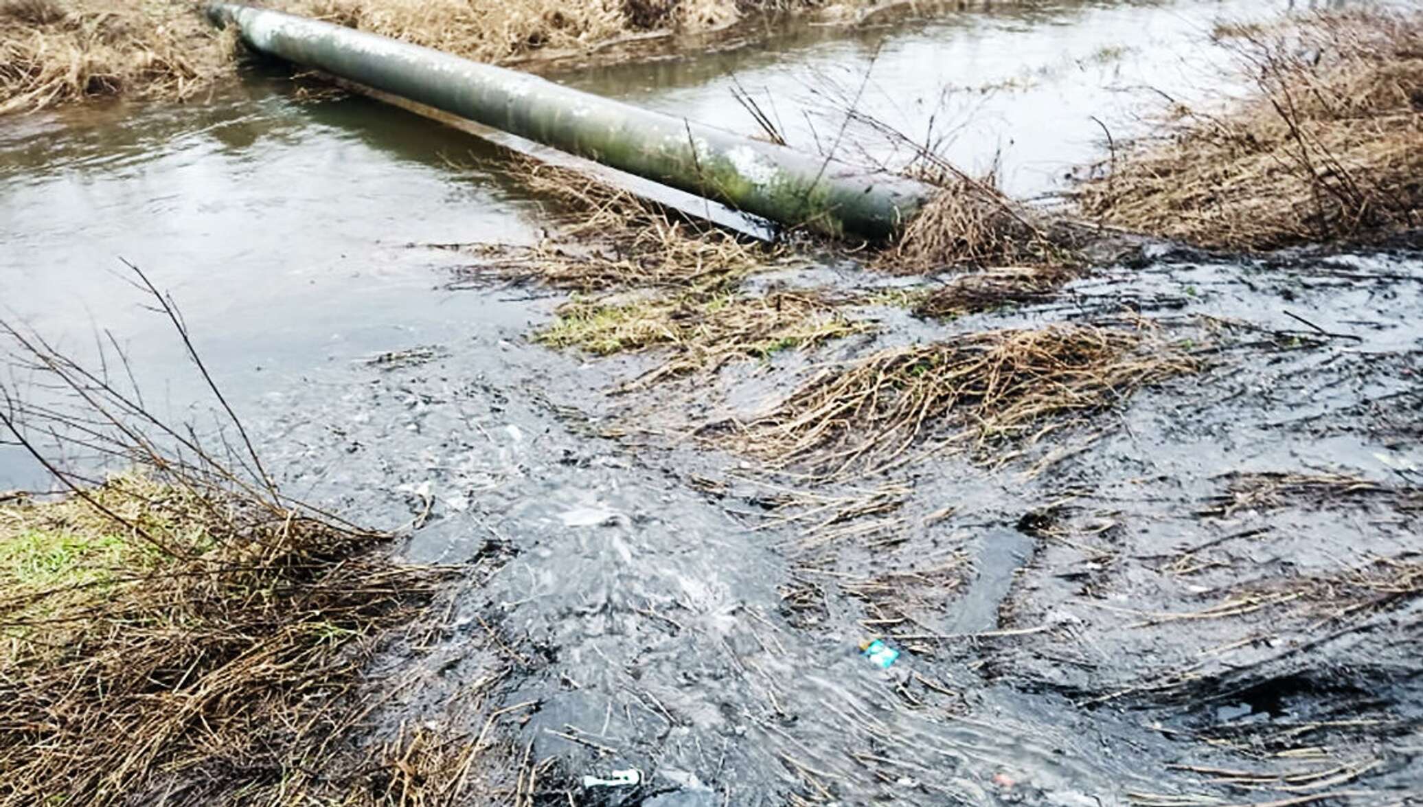 Литва дождевая вода. Дождь в ясную погоду. Красивая лужа. Дождь на воде. Литва дождевая вода.