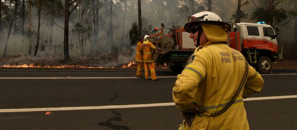 Тушение лесных пожаров в Австралии Тушение лесных пожаров в Австралии - Sputnik Lietuva