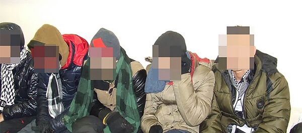 Задержанные вьетнамцы, которые нелегально попали в Литву Задержанные вьетнамцы, которые нелегально попали в Литву - Sputnik Литва