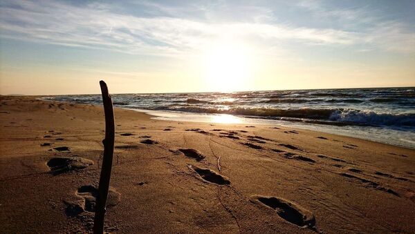 Песчаный пляж - Sputnik Литва